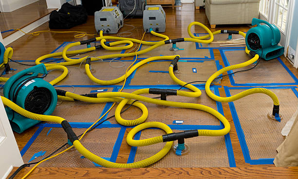 Professional Water Extraction technician working in Beverly Hills, TX